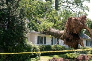 house with a tree that fell on it