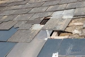 Shingle Roof In Need of Roof Repair